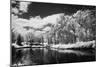 Bryan Lake IV-Alan Hausenflock-Mounted Photographic Print
