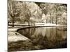 Bryan Pond II-Alan Hausenflock-Mounted Photographic Print