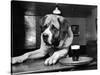 Bryan the St. Bernard Dog Enjoys a Pint, February 1956-null-Stretched Canvas