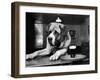 Bryan the St. Bernard Dog Enjoys a Pint, February 1956-null-Framed Premium Photographic Print