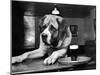 Bryan the St. Bernard Dog Enjoys a Pint, February 1956-null-Mounted Premium Photographic Print