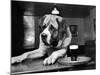 Bryan the St. Bernard Dog Enjoys a Pint, February 1956-null-Mounted Photographic Print