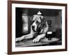 Bryan the St. Bernard Dog Enjoys a Pint, February 1956-null-Framed Photographic Print