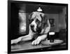 Bryan the St. Bernard Dog Enjoys a Pint, February 1956-null-Framed Photographic Print