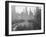 Bryant Park Looking toward Public Library-Philip Gendreau-Framed Premium Photographic Print