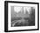 Bryant Park Looking toward Public Library-Philip Gendreau-Framed Photographic Print