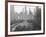 Bryant Park Looking toward Public Library-Philip Gendreau-Framed Photographic Print