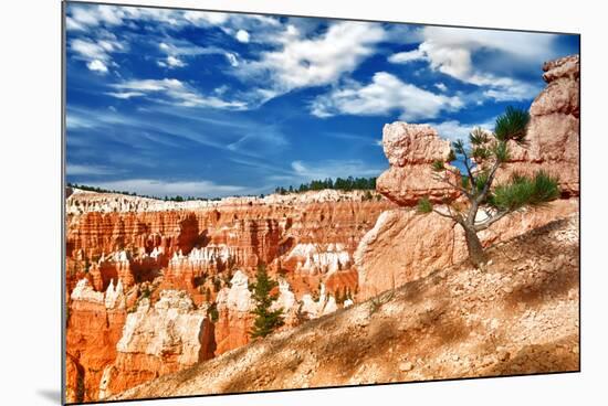 Bryce Amphitheater - Utah - Bryce Canyon National Park - United States-Philippe Hugonnard-Mounted Photographic Print