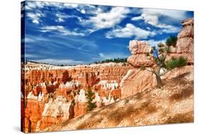 Bryce Amphitheater - Utah - Bryce Canyon National Park - United States-Philippe Hugonnard-Stretched Canvas