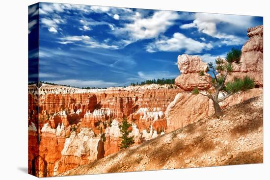 Bryce Amphitheater - Utah - Bryce Canyon National Park - United States-Philippe Hugonnard-Stretched Canvas