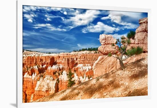 Bryce Amphitheater - Utah - Bryce Canyon National Park - United States-Philippe Hugonnard-Framed Photographic Print