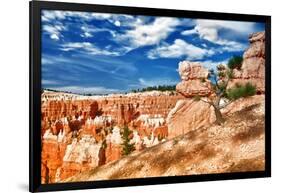 Bryce Amphitheater - Utah - Bryce Canyon National Park - United States-Philippe Hugonnard-Framed Photographic Print