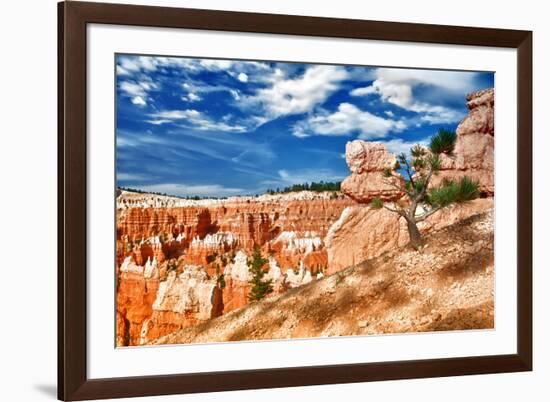 Bryce Amphitheater - Utah - Bryce Canyon National Park - United States-Philippe Hugonnard-Framed Photographic Print