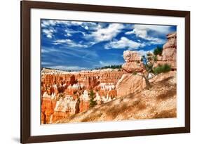 Bryce Amphitheater - Utah - Bryce Canyon National Park - United States-Philippe Hugonnard-Framed Photographic Print