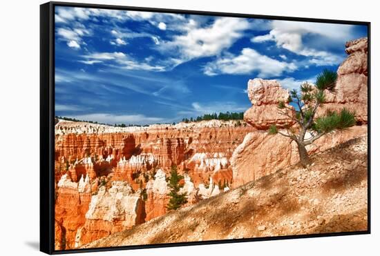 Bryce Amphitheater - Utah - Bryce Canyon National Park - United States-Philippe Hugonnard-Framed Stretched Canvas