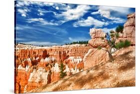 Bryce Amphitheater - Utah - Bryce Canyon National Park - United States-Philippe Hugonnard-Stretched Canvas