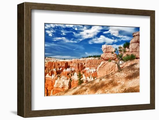 Bryce Amphitheater - Utah - Bryce Canyon National Park - United States-Philippe Hugonnard-Framed Photographic Print