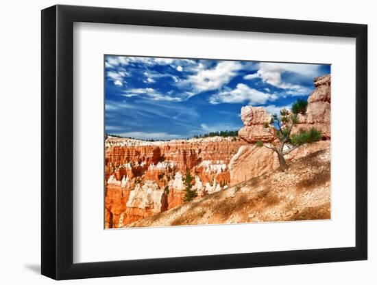 Bryce Amphitheater - Utah - Bryce Canyon National Park - United States-Philippe Hugonnard-Framed Photographic Print