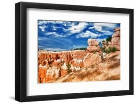 Bryce Amphitheater - Utah - Bryce Canyon National Park - United States-Philippe Hugonnard-Framed Photographic Print