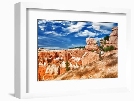 Bryce Amphitheater - Utah - Bryce Canyon National Park - United States-Philippe Hugonnard-Framed Photographic Print