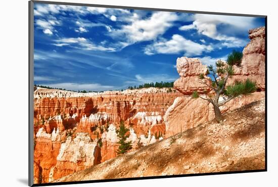 Bryce Amphitheater - Utah - Bryce Canyon National Park - United States-Philippe Hugonnard-Mounted Photographic Print