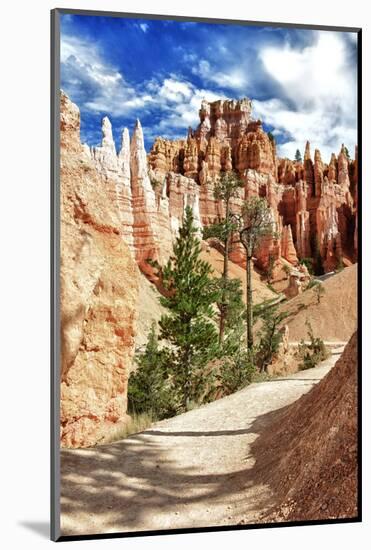 Bryce Amphitheater - Utah - Bryce Canyon National Park - United States-Philippe Hugonnard-Mounted Photographic Print