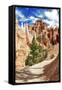 Bryce Amphitheater - Utah - Bryce Canyon National Park - United States-Philippe Hugonnard-Framed Stretched Canvas