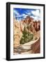 Bryce Amphitheater - Utah - Bryce Canyon National Park - United States-Philippe Hugonnard-Framed Photographic Print