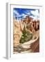 Bryce Amphitheater - Utah - Bryce Canyon National Park - United States-Philippe Hugonnard-Framed Photographic Print