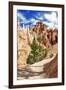 Bryce Amphitheater - Utah - Bryce Canyon National Park - United States-Philippe Hugonnard-Framed Photographic Print