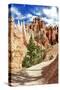 Bryce Amphitheater - Utah - Bryce Canyon National Park - United States-Philippe Hugonnard-Stretched Canvas