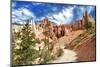 Bryce Amphitheater - Utah - Bryce Canyon National Park - United States-Philippe Hugonnard-Mounted Photographic Print