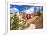 Bryce Amphitheater - Utah - Bryce Canyon National Park - United States-Philippe Hugonnard-Framed Photographic Print