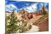 Bryce Amphitheater - Utah - Bryce Canyon National Park - United States-Philippe Hugonnard-Mounted Photographic Print