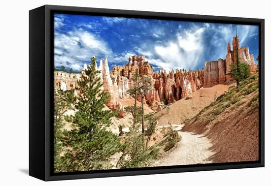 Bryce Amphitheater - Utah - Bryce Canyon National Park - United States-Philippe Hugonnard-Framed Stretched Canvas