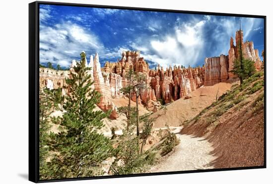 Bryce Amphitheater - Utah - Bryce Canyon National Park - United States-Philippe Hugonnard-Framed Stretched Canvas