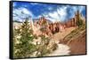 Bryce Amphitheater - Utah - Bryce Canyon National Park - United States-Philippe Hugonnard-Framed Stretched Canvas