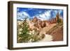 Bryce Amphitheater - Utah - Bryce Canyon National Park - United States-Philippe Hugonnard-Framed Photographic Print