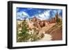 Bryce Amphitheater - Utah - Bryce Canyon National Park - United States-Philippe Hugonnard-Framed Photographic Print