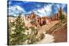 Bryce Amphitheater - Utah - Bryce Canyon National Park - United States-Philippe Hugonnard-Stretched Canvas