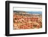 Bryce Amphitheater - Utah - Bryce Canyon National Park - United States-Philippe Hugonnard-Framed Photographic Print