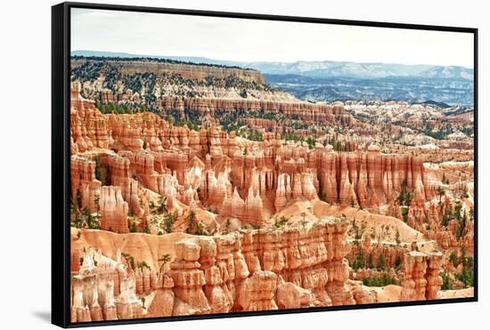 Bryce Amphitheater - Utah - Bryce Canyon National Park - United States-Philippe Hugonnard-Framed Stretched Canvas