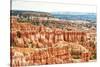 Bryce Amphitheater - Utah - Bryce Canyon National Park - United States-Philippe Hugonnard-Stretched Canvas