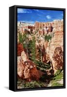 Bryce Amphitheater - Utah - Bryce Canyon National Park - United States-Philippe Hugonnard-Framed Stretched Canvas