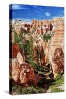 Bryce Amphitheater - Utah - Bryce Canyon National Park - United States-Philippe Hugonnard-Stretched Canvas