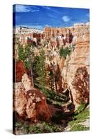 Bryce Amphitheater - Utah - Bryce Canyon National Park - United States-Philippe Hugonnard-Stretched Canvas