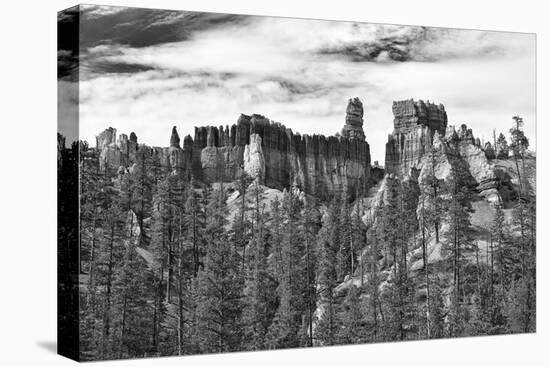 Bryce Amphitheater - Utah - Bryce Canyon National Park - United States-Philippe Hugonnard-Stretched Canvas