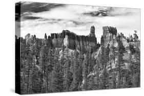 Bryce Amphitheater - Utah - Bryce Canyon National Park - United States-Philippe Hugonnard-Stretched Canvas