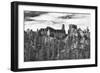 Bryce Amphitheater - Utah - Bryce Canyon National Park - United States-Philippe Hugonnard-Framed Photographic Print