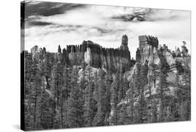 Bryce Amphitheater - Utah - Bryce Canyon National Park - United States-Philippe Hugonnard-Stretched Canvas